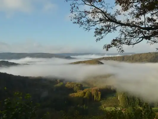 De prachtige natuur van de Ardennen