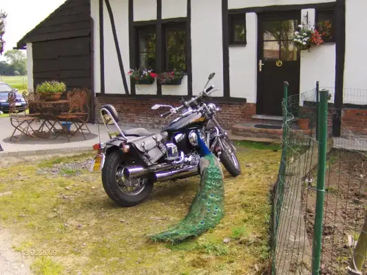 Motorrijders weten Ter Castaigne te vinden