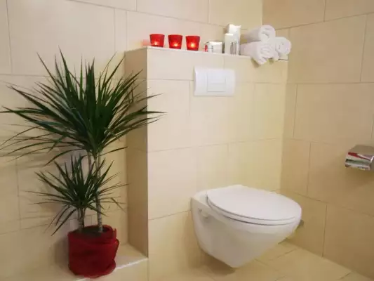 Het toilet van een 2 persoonskamer bij Hotel der schöne Asten