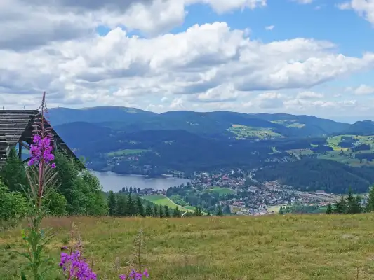 De Titisee in het Zwarte Woud De Titisee in het Zwarte Woud