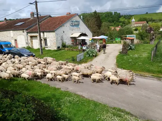 Welkom bij Camping Comme Ca