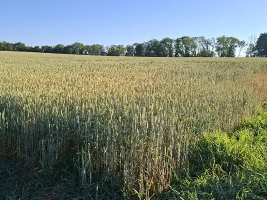 De landelijke omgeving rondom Camping Comme Ca