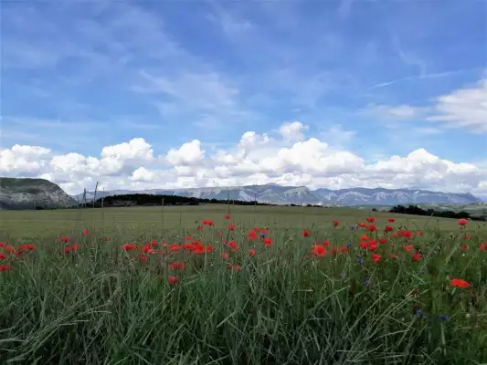 De bergen zijn dichtbij vanuit Les Glycines De bergen zijn dichtbij vanuit Les Glycines