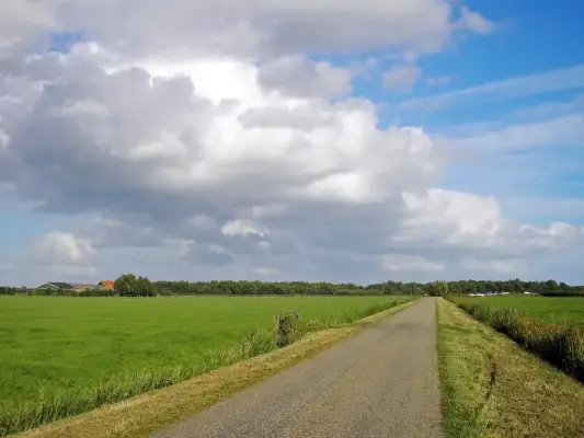 Heerlijke wegen om te motorrijden in natuurpark de Weerribben