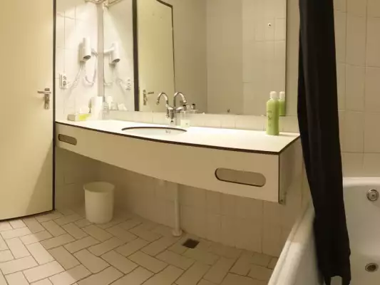Het sanitair van de kamer