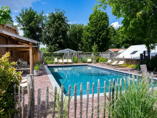 Een verkoelende duik in het zwembad bij Camping Mareveld