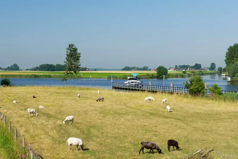 Nederland - Friesland